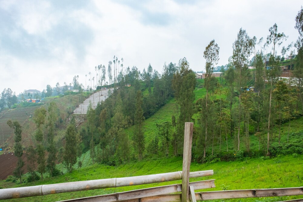 OYO 2169 Anugrah Bromo Homestay 31/52