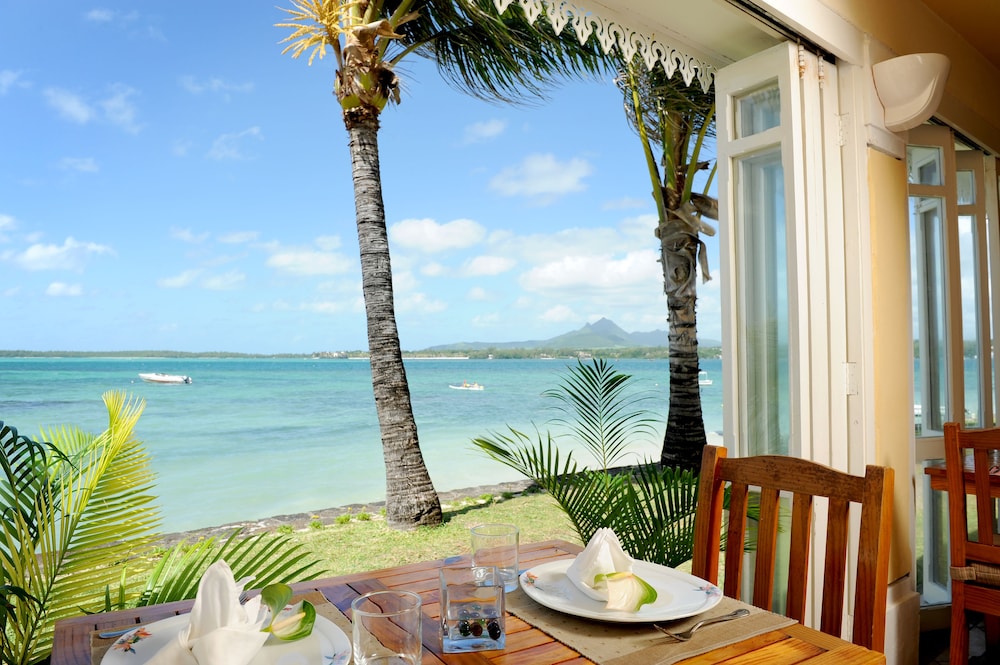Tropical Attitude - Adults Only 33/72