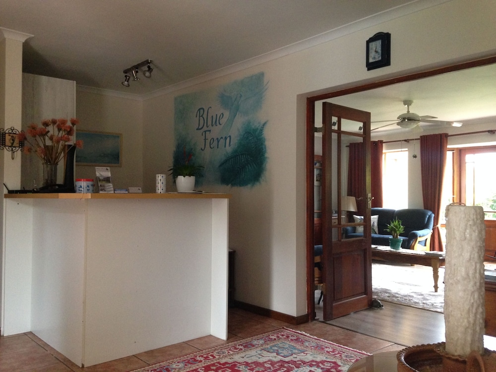 Blue Fern of Knysna 5/50