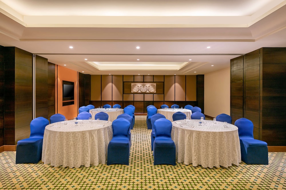 Radisson Blu Plaza Resort & Convention Centre Karjat 33/72