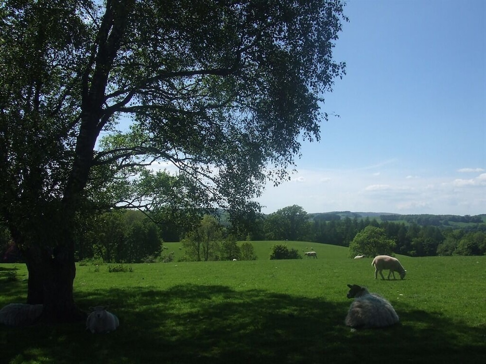 Pheasant Inn 31/49