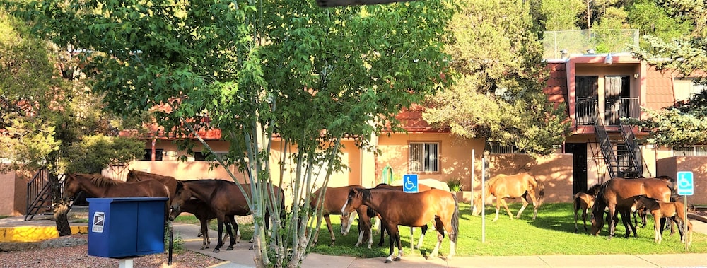 Pinecliff Village Resort 59/69