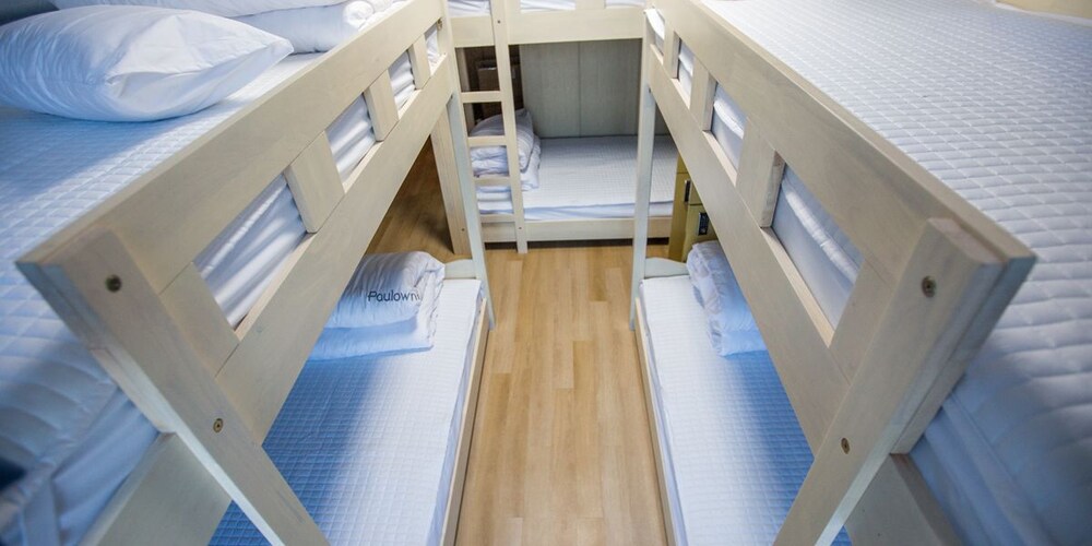Paulownia Hostel & Guest House 38/50