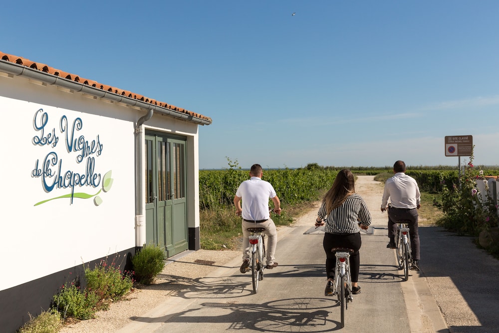 Les Vignes de La Chapelle 35/64
