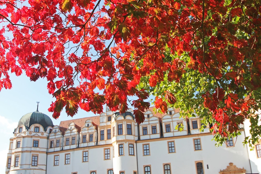 Heidekonig Hotel Celle 5/49