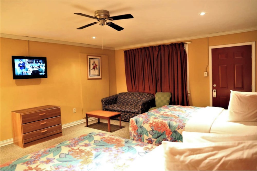 OYO Hotel Beeville US 181 23/64
