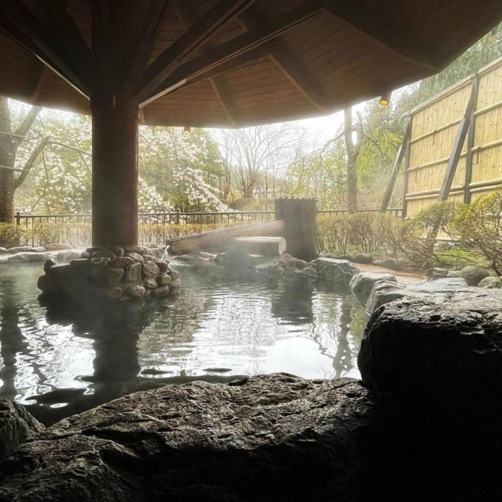 Tsuchiyu Onsen Harumiya Ryokan 38/54