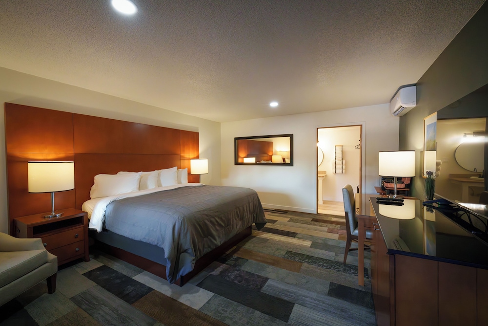 Shelton Inn 20/51