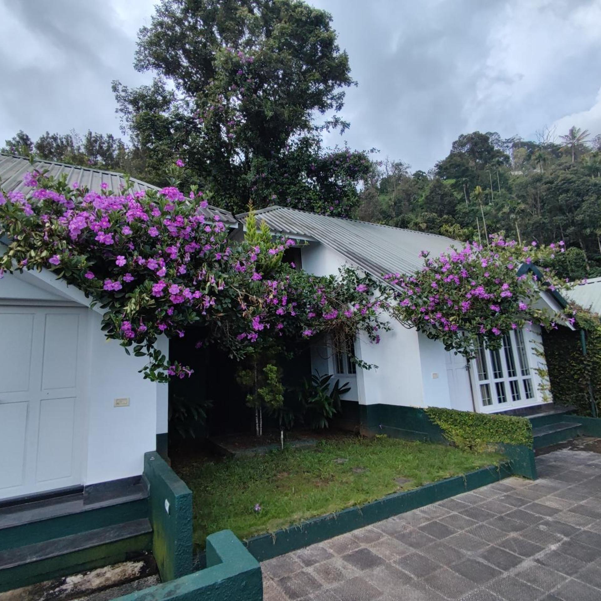 Munnar Tea Country Resort 43/47