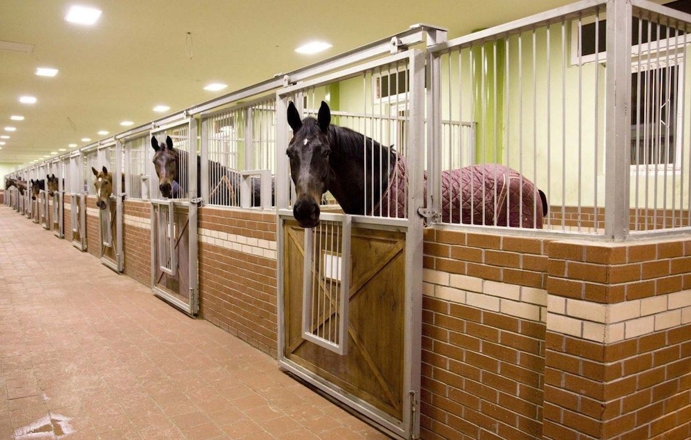 Padok优选酒店and Stables(Padok Premium Hotel and Stables) 图片3