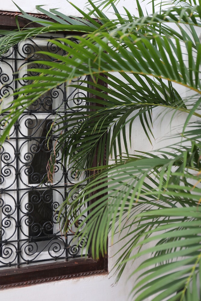 Riad Noor Charana photo2