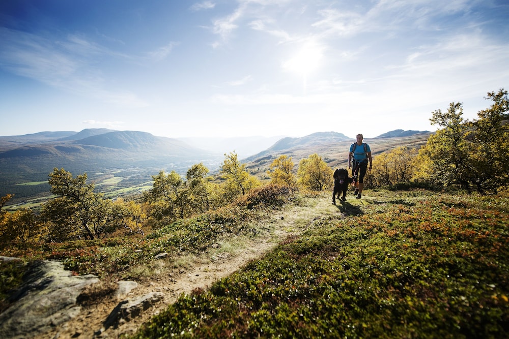 Oppdal Turisthotell 54/61