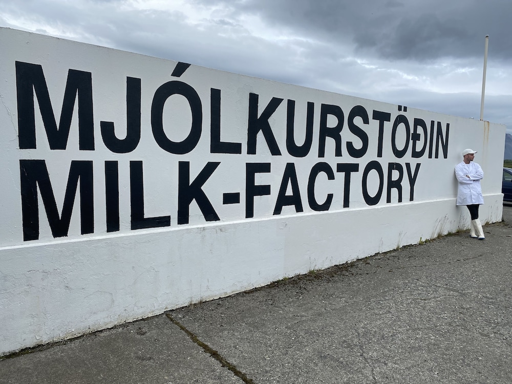 Milk Factory 23/49