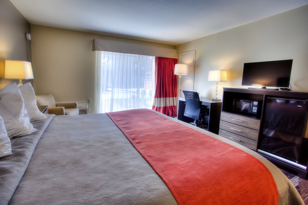 Beaucatcher a Boutique Motel 24/46