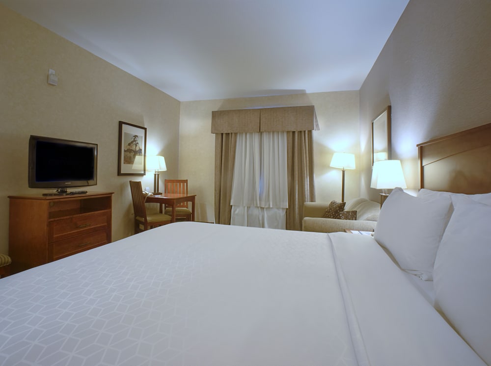 Holiday Inn Express And Suites Edmonton North 19/75