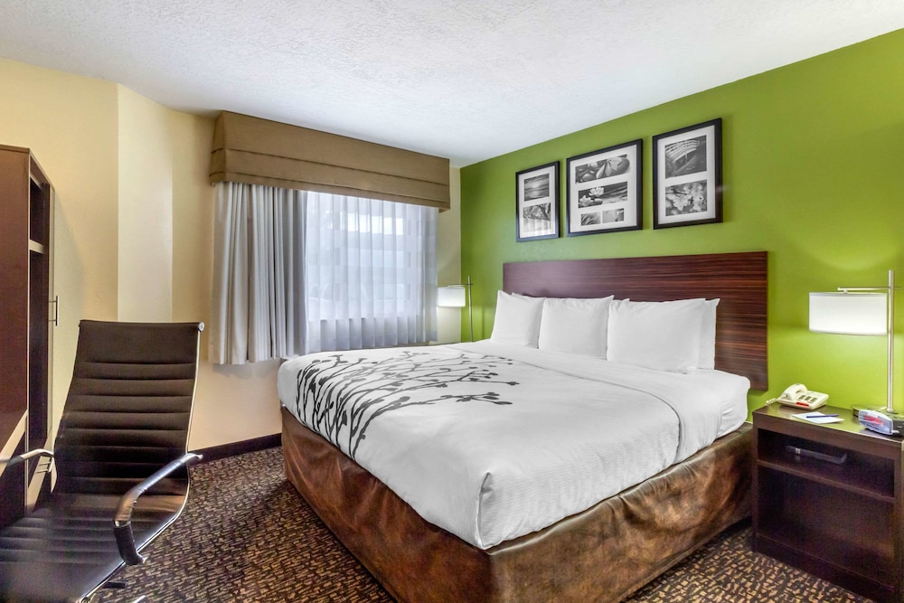 Efficiency, King Bed, Accessible