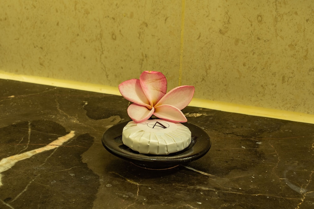 Aanari Hotel and Spa 48/82