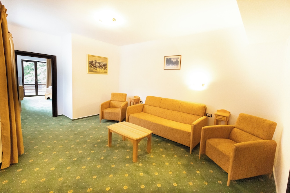 Hotel Casa Viorel 23/50