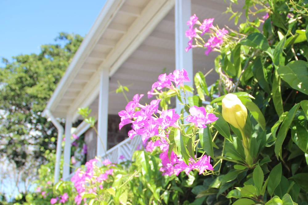 Montpelier Plantation & Beach 4/50