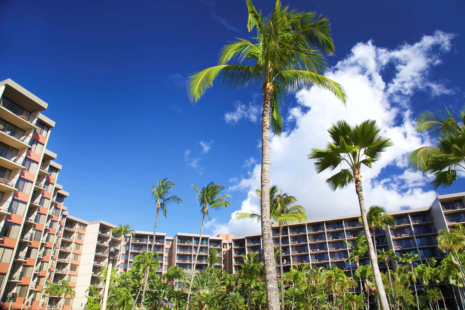 Aston Kaanapali Shores 77/80