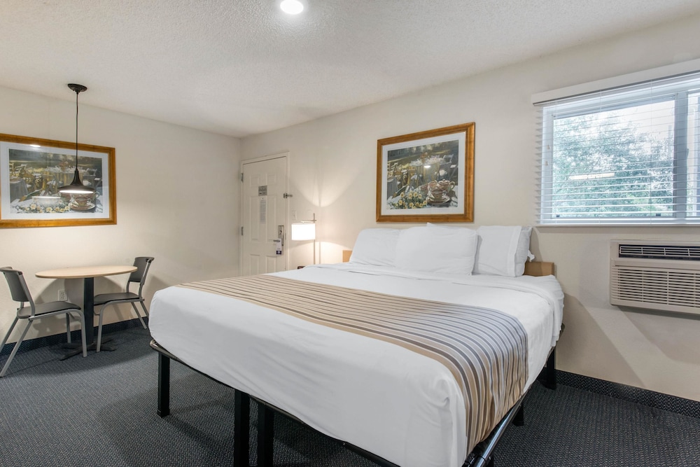 Efficiency, King Bed