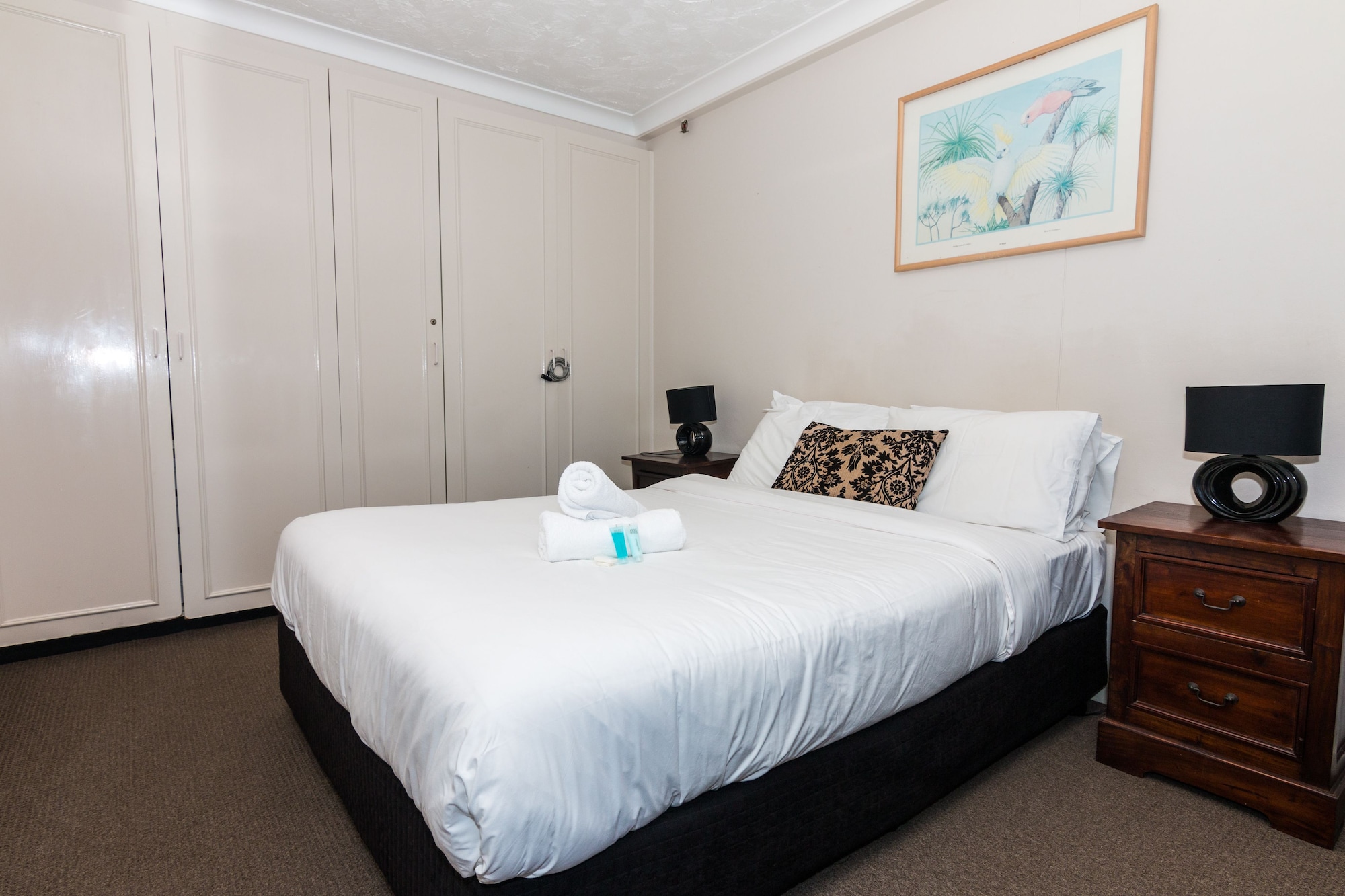 BUDGET, STUDIO, KING BED