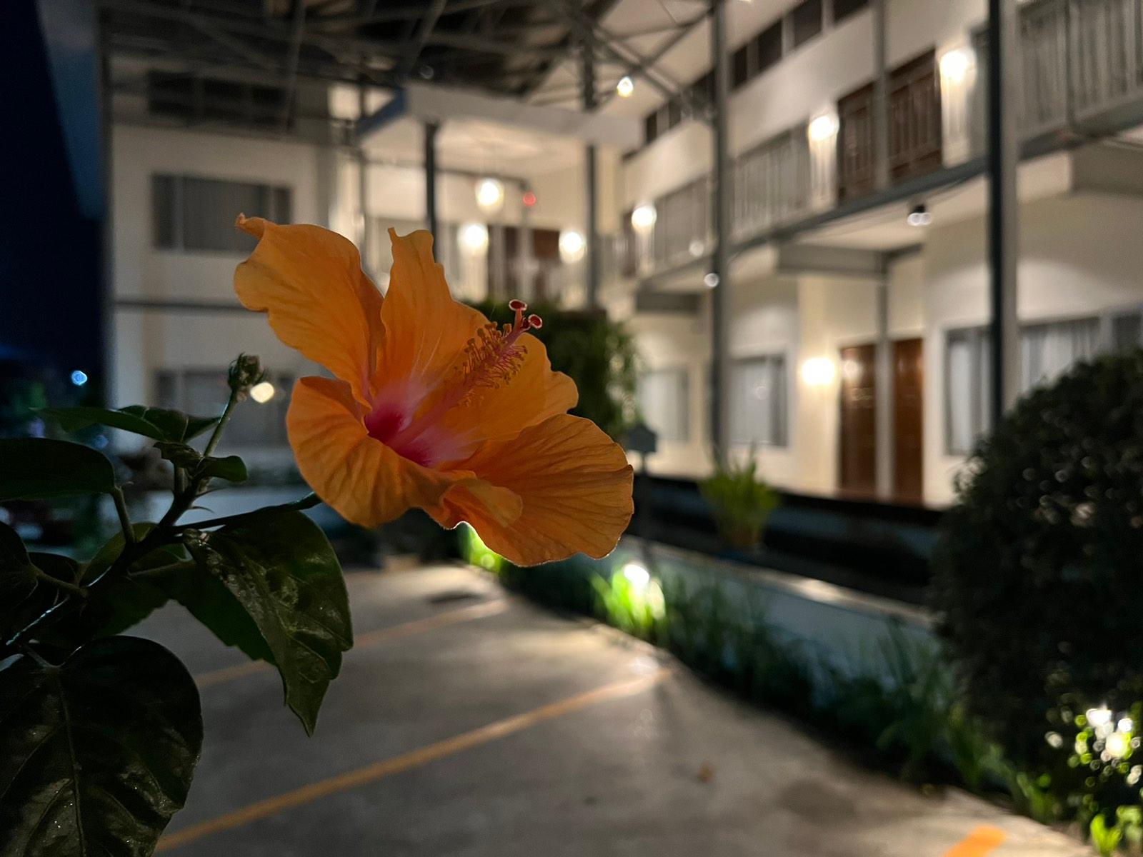 3b Boutique Bed &amp; Breakfast 37/43
