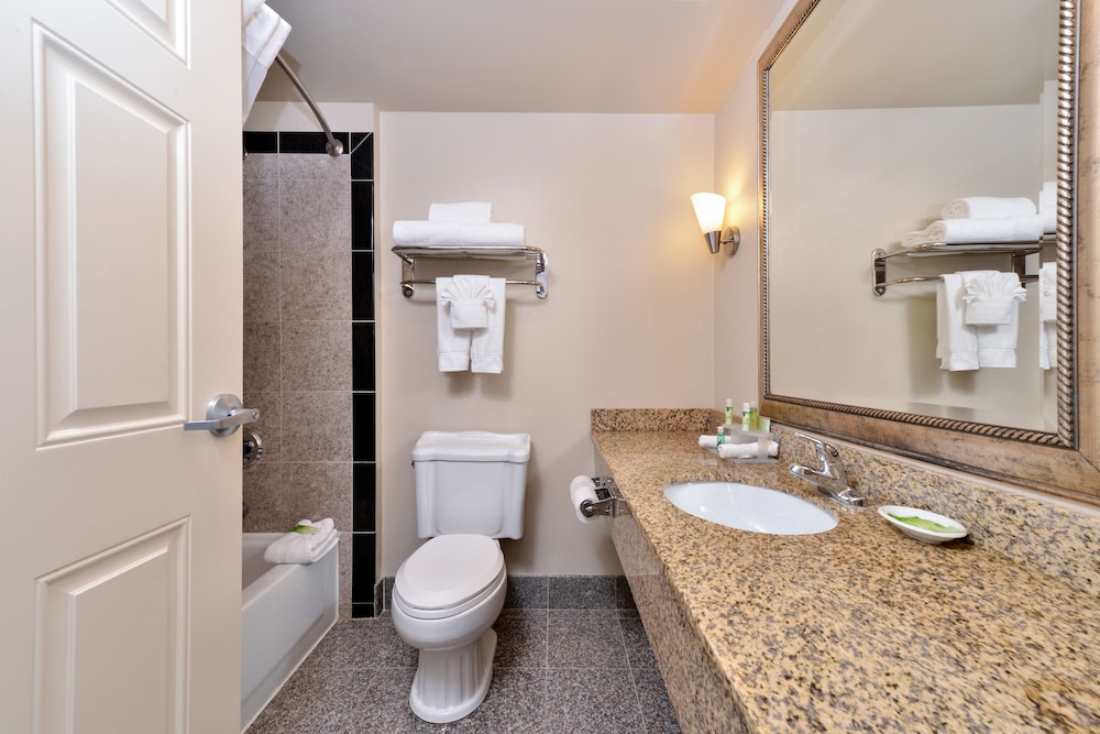 Holiday Inn Express and Suites Tacoma South Lakewood, an IHG Hotel 19/64