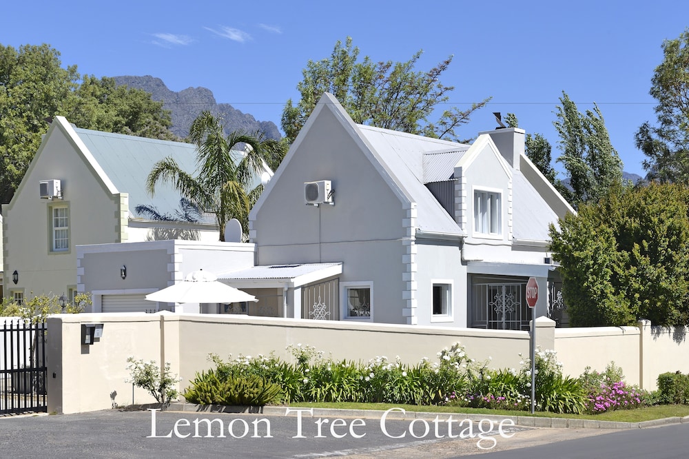 Lemon Tree Cottage photo4