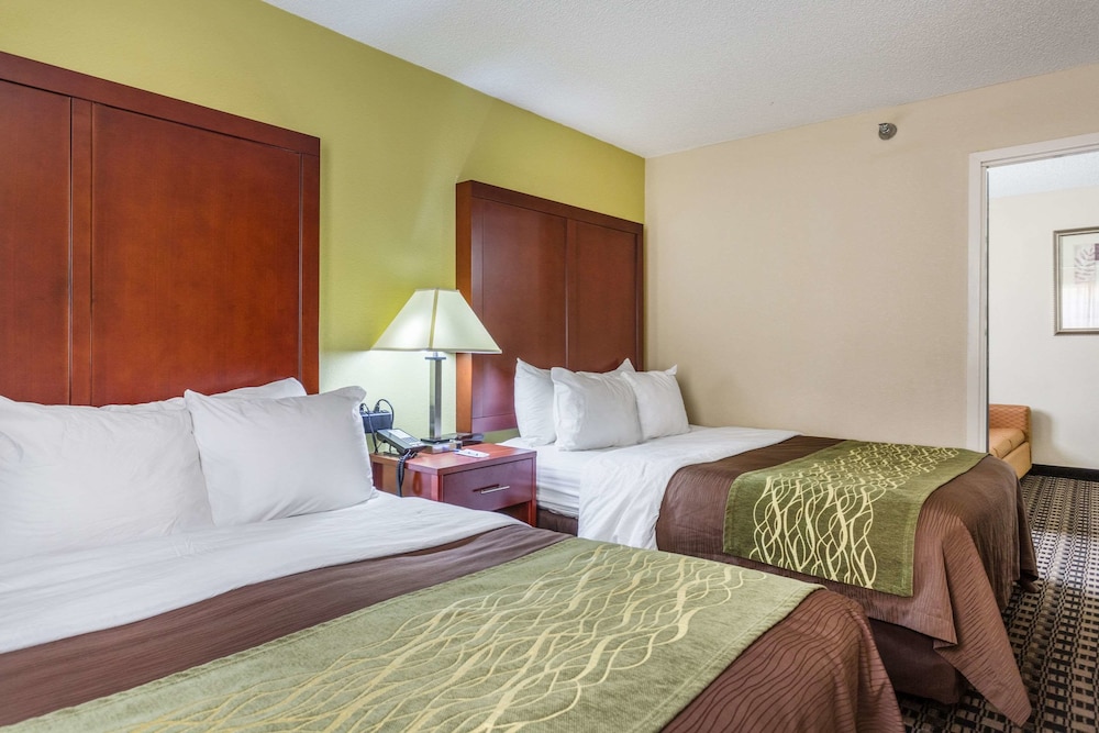 Comfort Inn Decatur Priceville 12/49