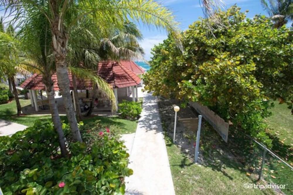 The Marlin At Taino Beach Resort Clubs 50/60
