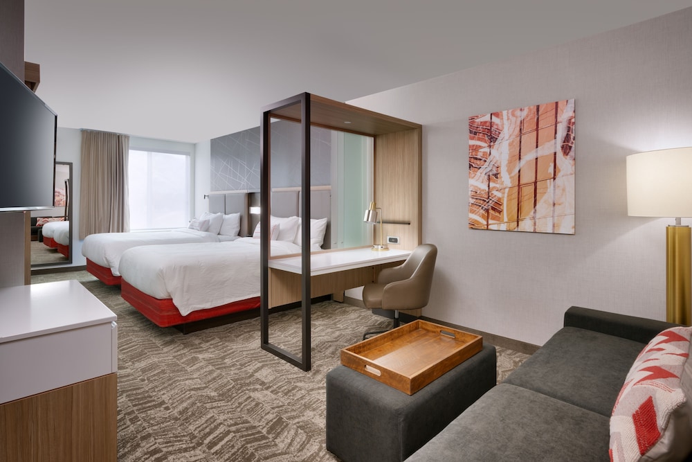 Springhill Suites By Marriott Grand Island 45/46