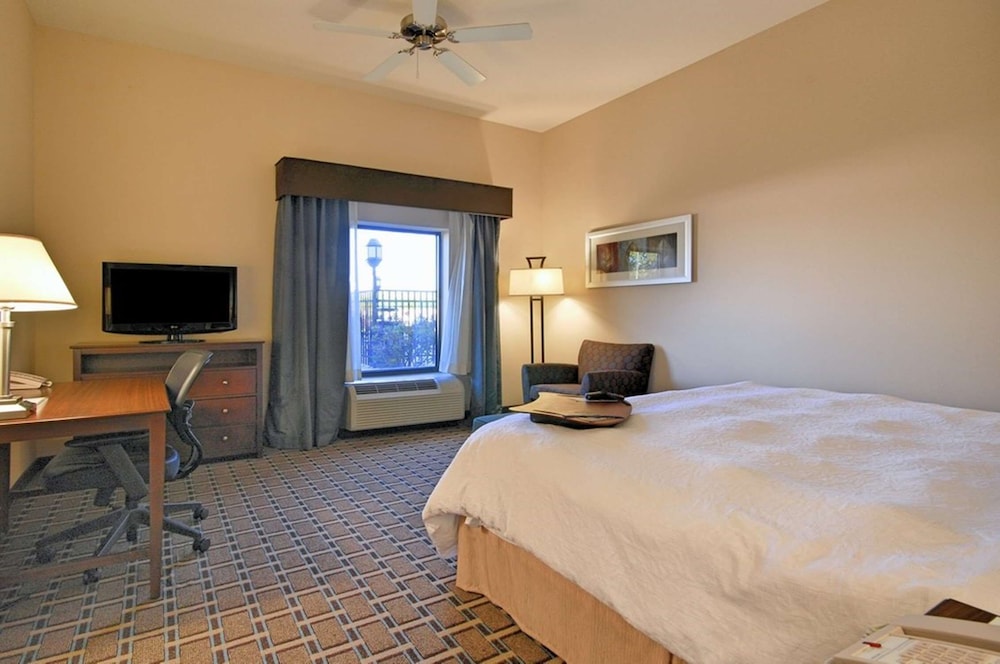 Hampton Inn Suites New Iberia Avery Island 17/47