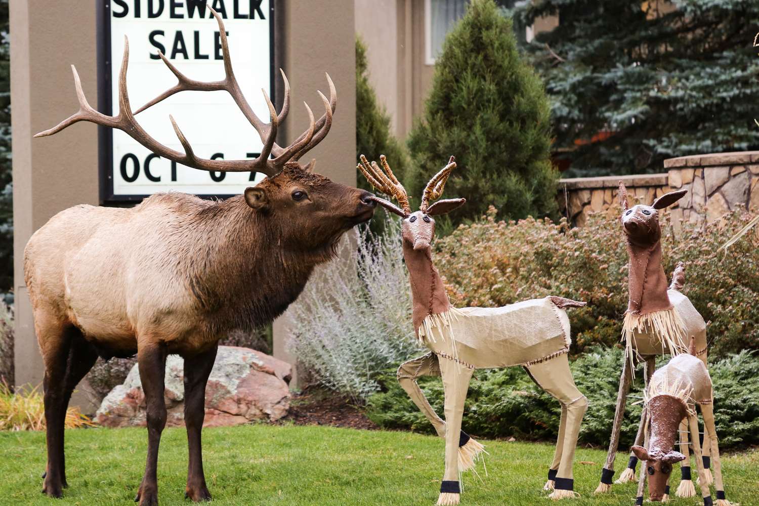 Quality Inn near Rocky Mountain National Park 14/17