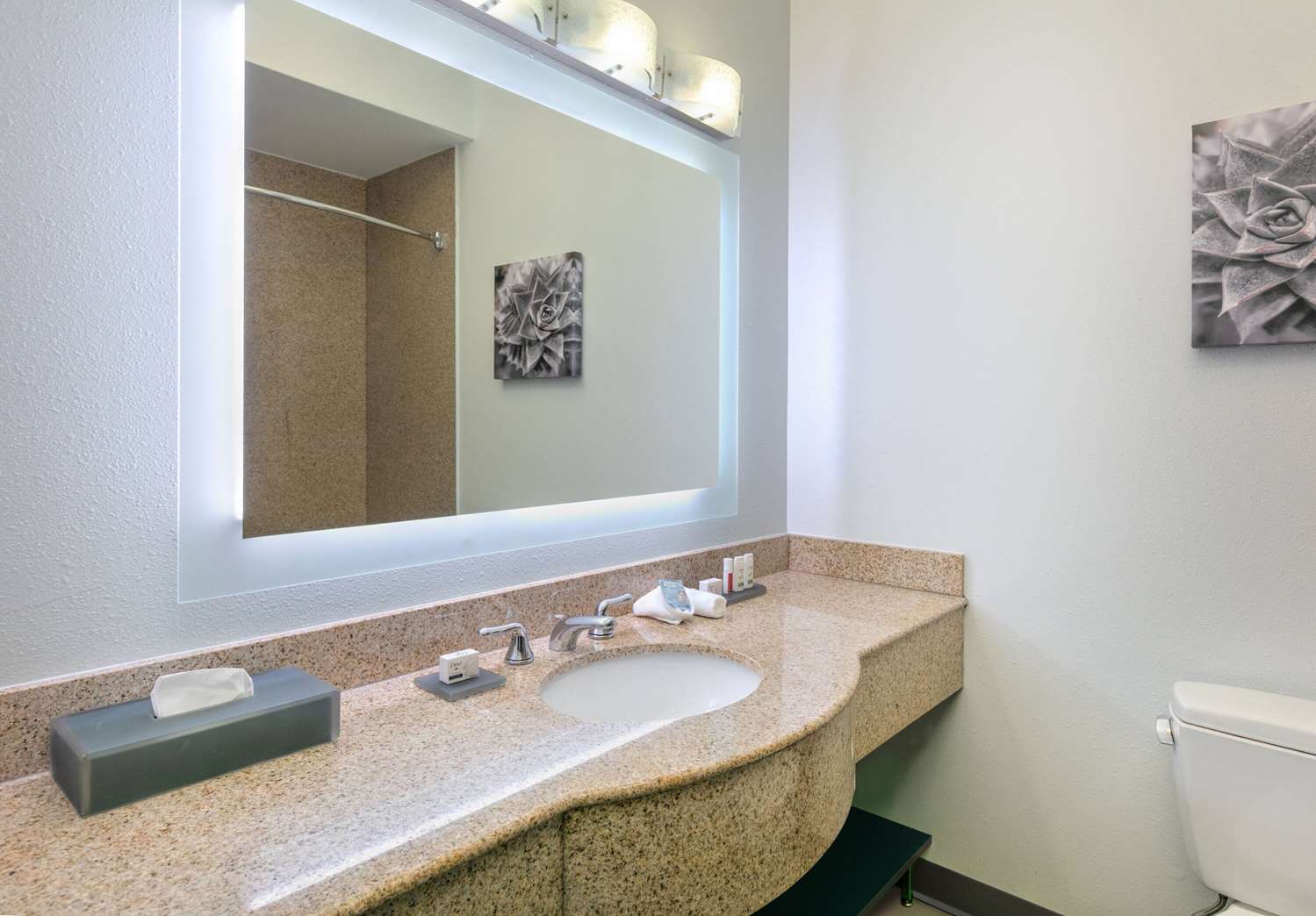 La Quinta Inn & Suites by Wyndham Fort Worth NE Mall 50/52