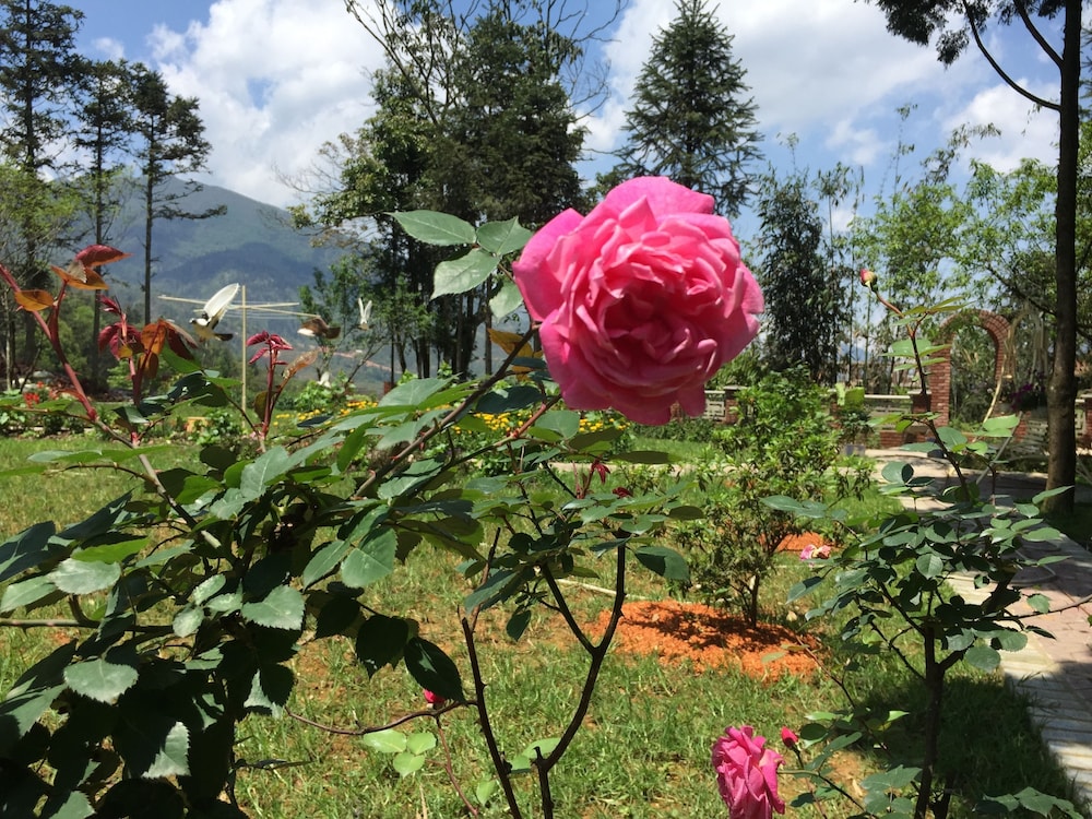 Sapa Garden Bed and Breakfast 61/73