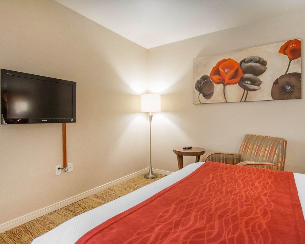 Comfort Inn Mont Laurier, QC 21/46