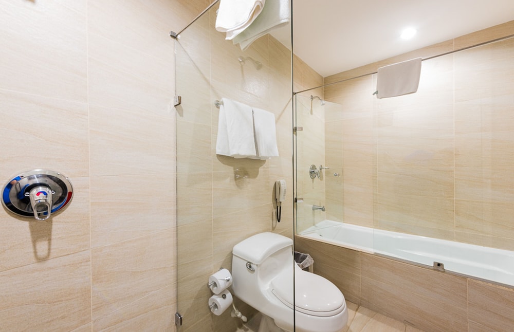 Hotel Poblado Alejandria 15/66