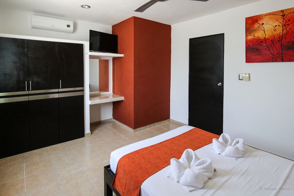 Gayser Apartamentos 29/39