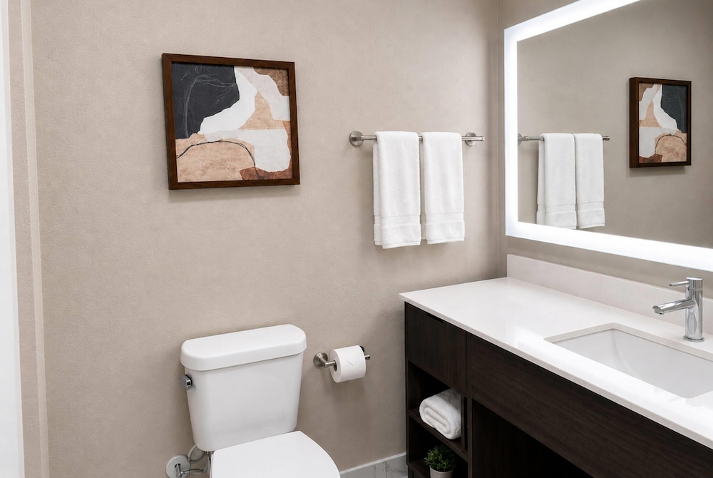 La Quinta Inn & Suites by Wyndham Tracy 51/53