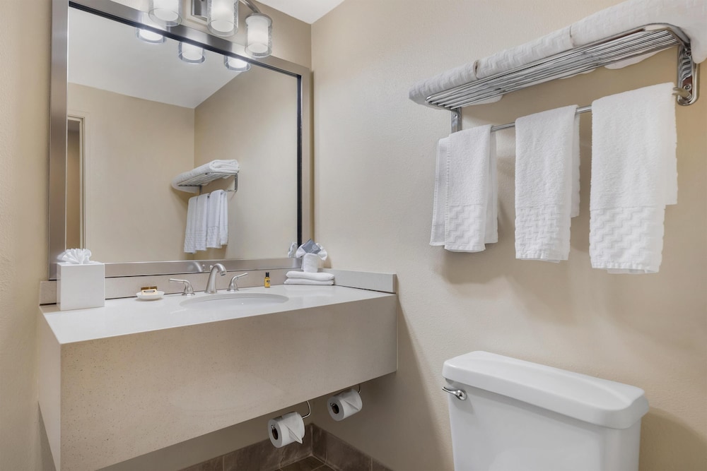 Standard, Queen Bed, Best Western Plus Plaza by the Green 9/9