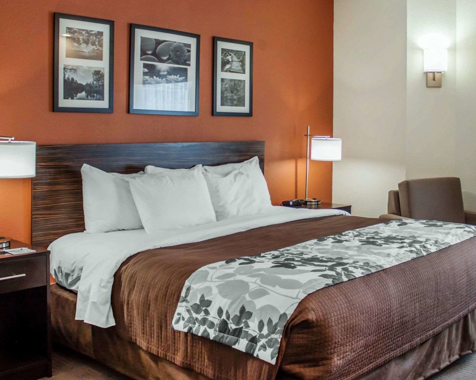 STANDARD, QUEEN BED, ACCESSIBLE