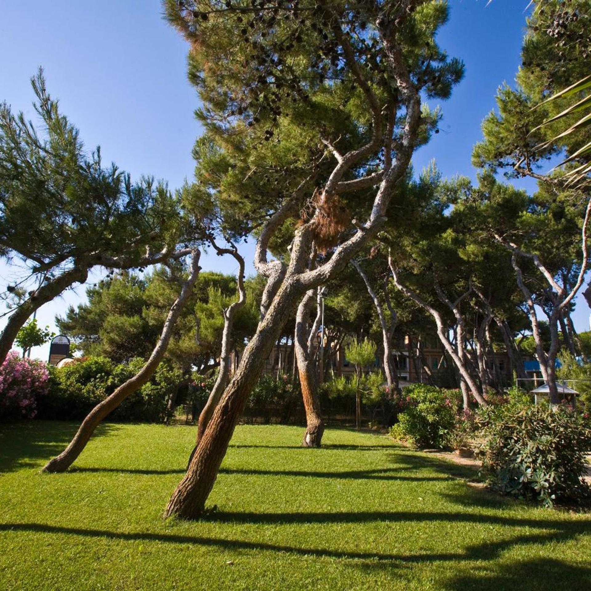 HOTEL PARCO DEI PRINCIPI 27/56