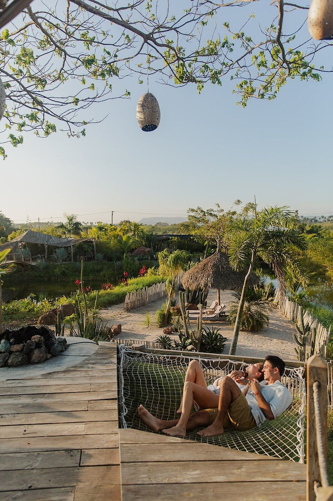Green Land Bubble Glamping 55/60