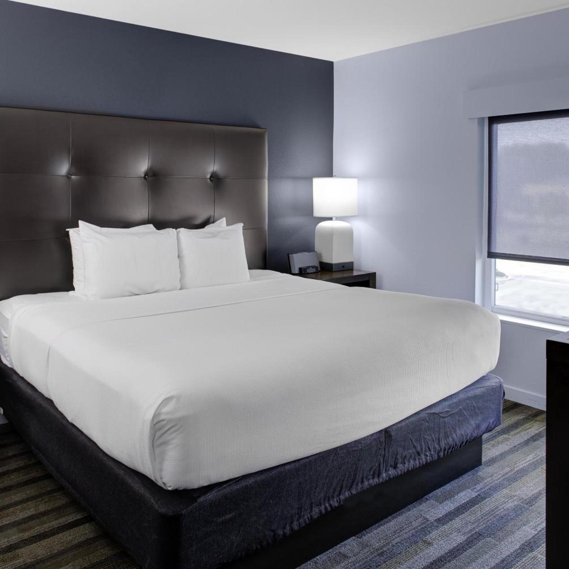 1 Bedroom, Suite, King Bed