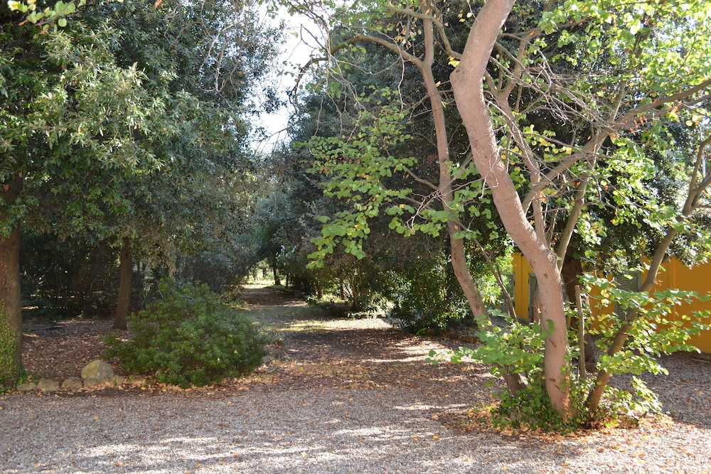 Villa Graziani 39/50