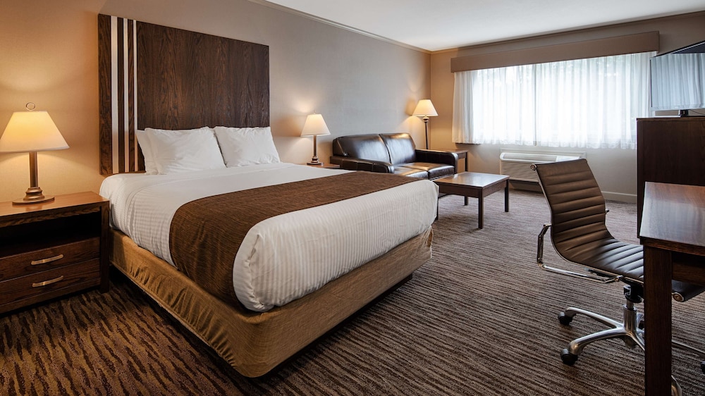 Best Western Mountainview Inn 13/29
