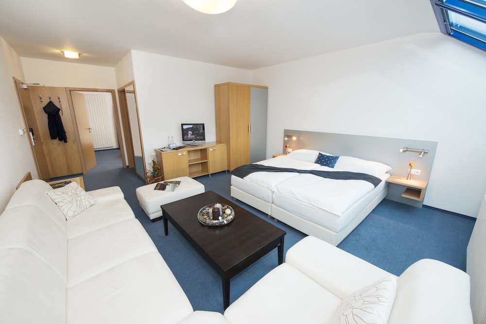 Hotel Blue Garni 17/58