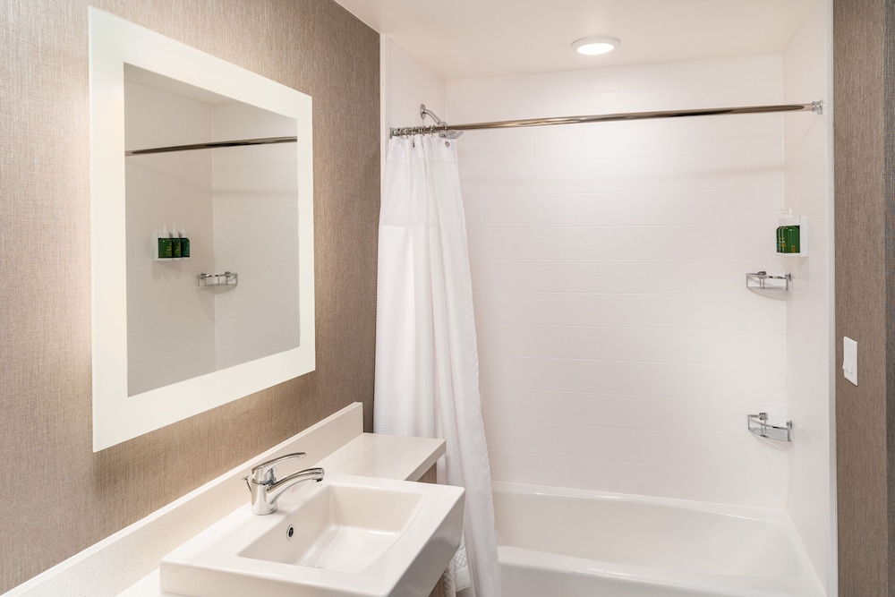 SpringHill Suites by Marriott Irvine Lake Forest 13/32
