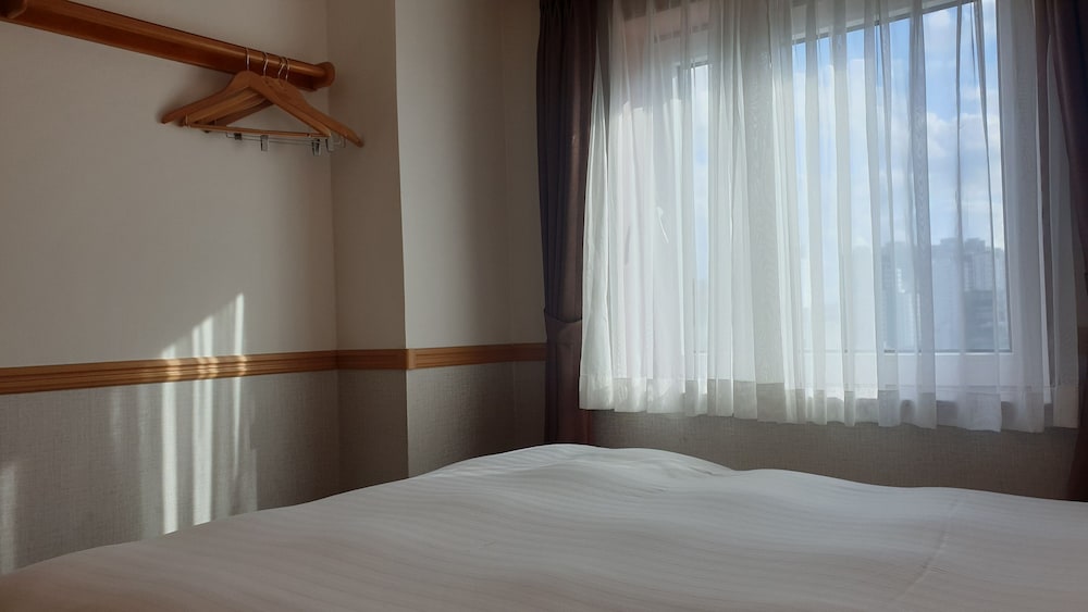 Toyoko Inn Busan Seomyeon 10/54
